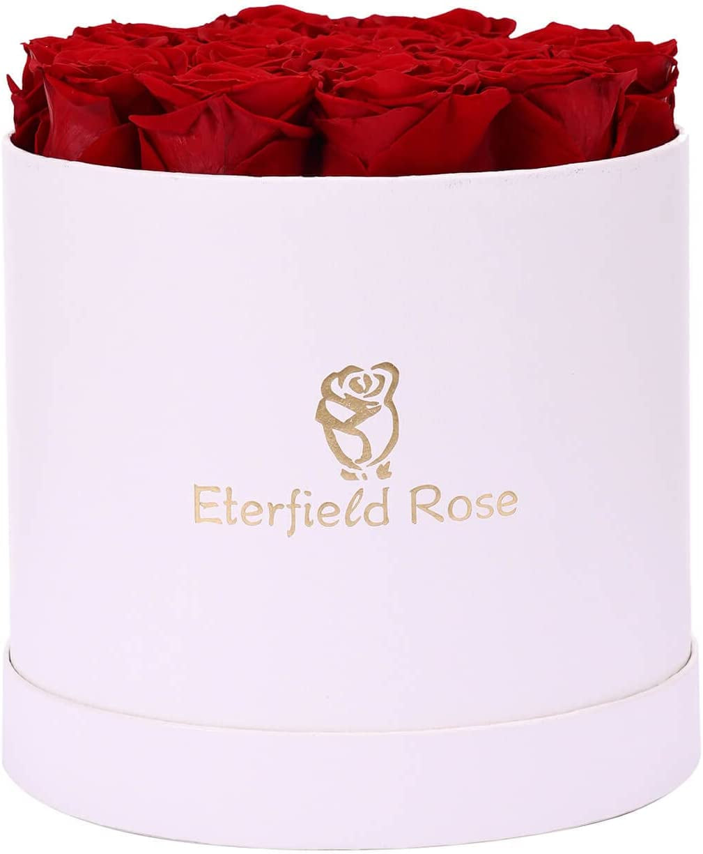 16-Piece Forever Flowers Preserved Rose in a Box Real Roses That Last a Year Preserved Flowers for Delivery Prime Mothers Day Valentines Day Christmas Day (Red Roses, round White Box)