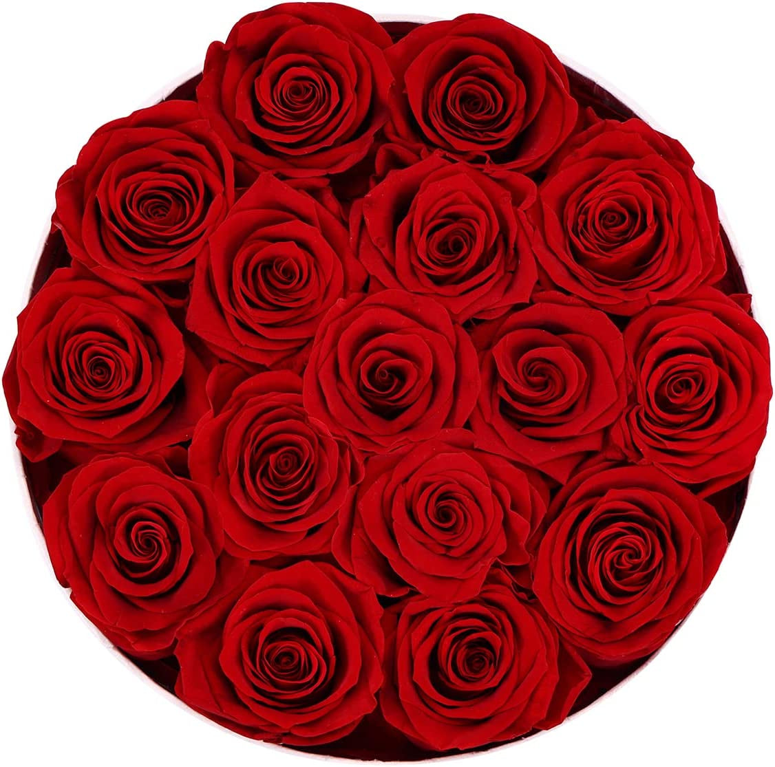 16-Piece Forever Flowers Preserved Rose in a Box Real Roses That Last a Year Preserved Flowers for Delivery Prime Mothers Day Valentines Day Christmas Day (Red Roses, round White Box)