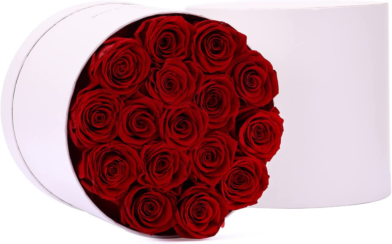 16-Piece Forever Flowers Preserved Rose in a Box Real Roses That Last a Year Preserved Flowers for Delivery Prime Mothers Day Valentines Day Christmas Day (Red Roses, round White Box)